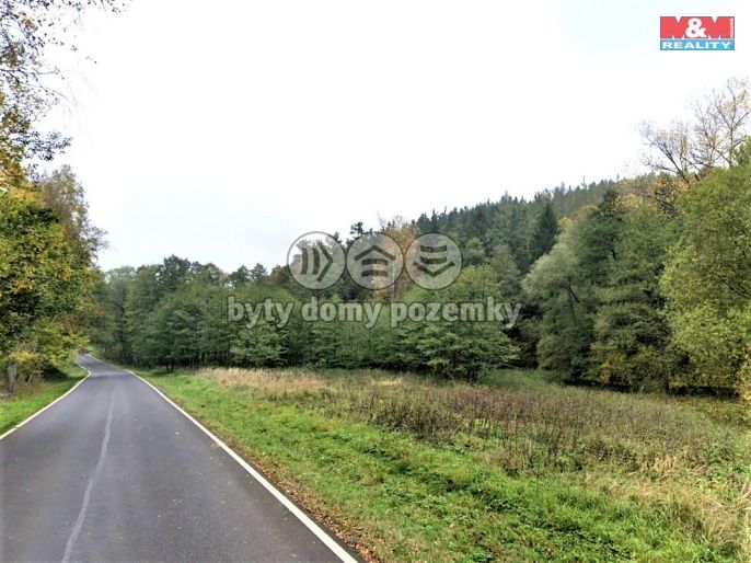 Prodej, Les, Tuchořice