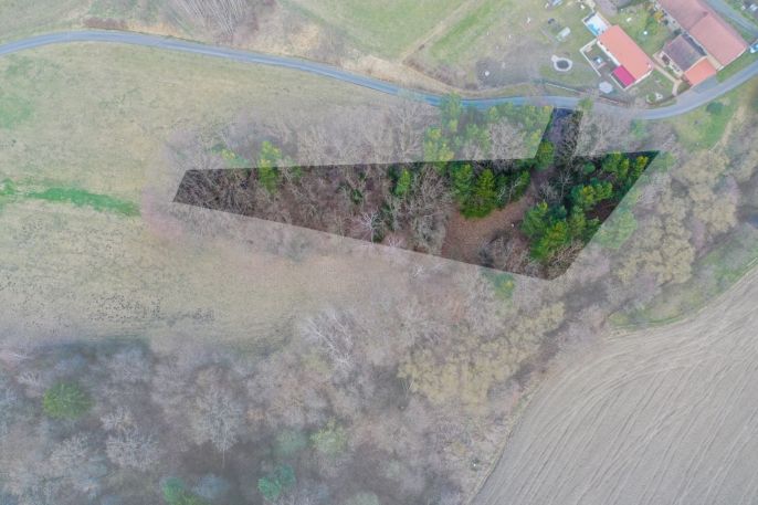 Prodej, Zahrada, Dolany