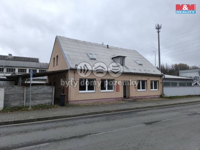 Prodej, Obchod a služby, Břidličná