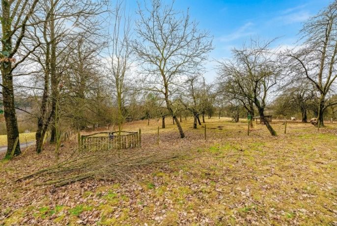 Prodej, Pozemek k bydlení, Dobré