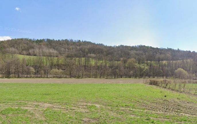 Prodej, Pole, Ruda nad Moravou