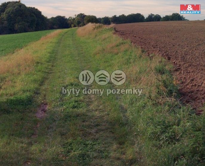 Prodej, Pole, Bratčice