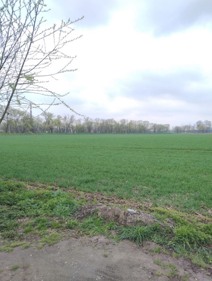 Prodej, Zahrada, Opava