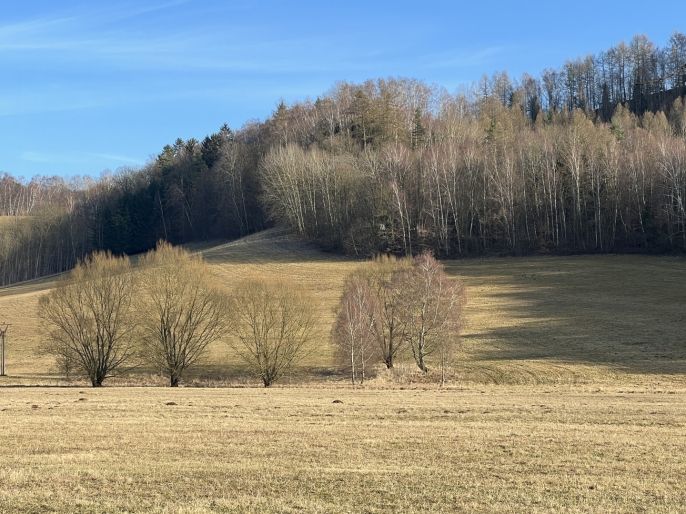 Prodej, Pozemek k bydlení, Náchod