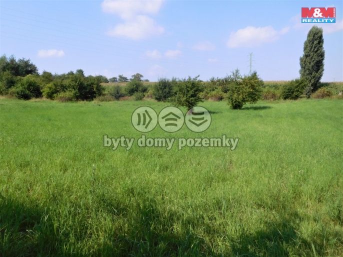 Prodej, Zemědělský objekt, Třebíz