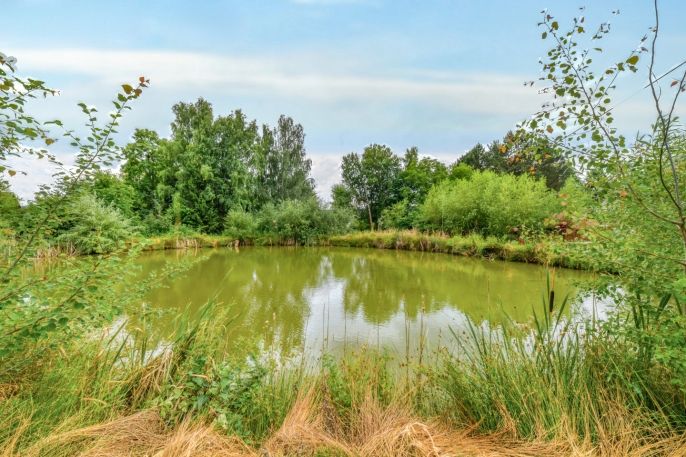 Prodej, Komerční pozemky, Cheb