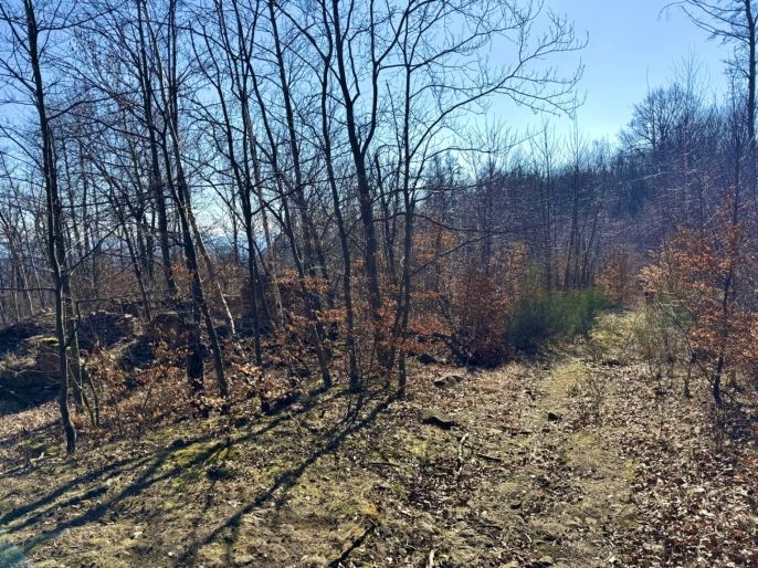 Prodej, Ostatní, Hrob