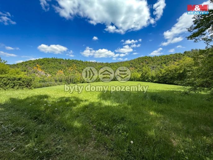 Prodej, Chata, Radíč