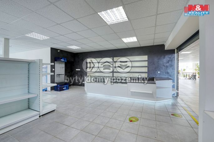 Pronájem, Obchod a služby, Třemošná