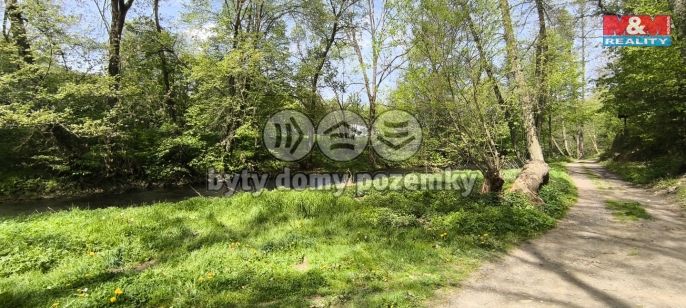 Prodej, Chata, Plasy