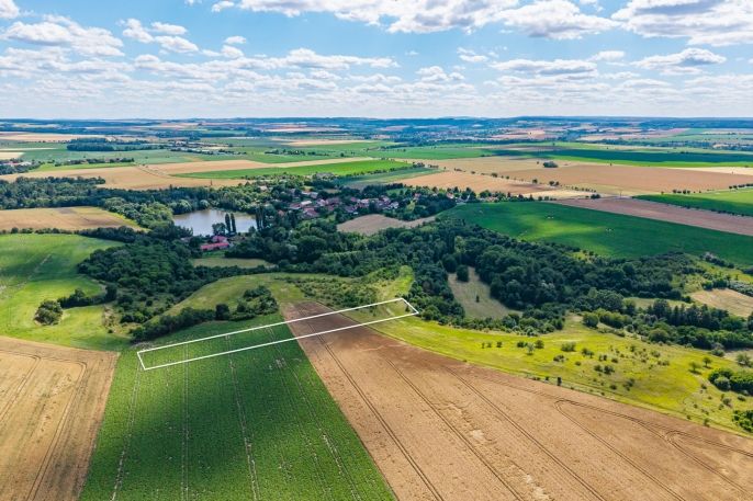 Prodej, Pole, Žabonosy