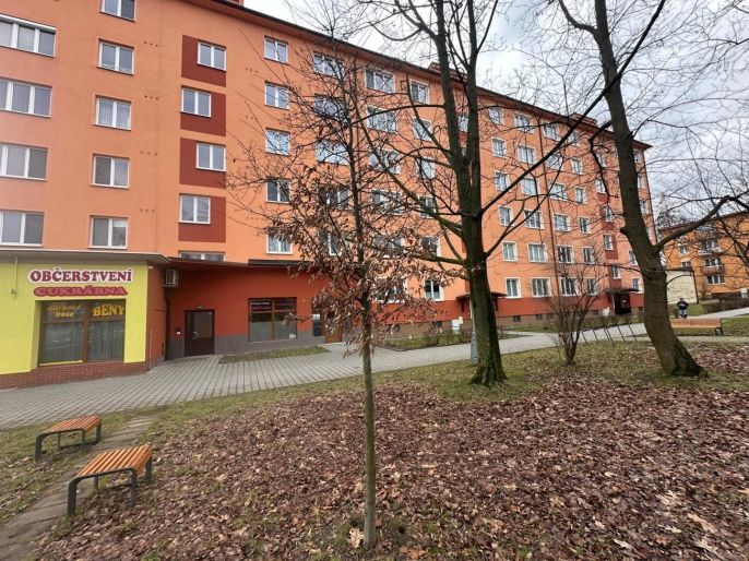 Prodej, Byt 1+kk, Ostrava