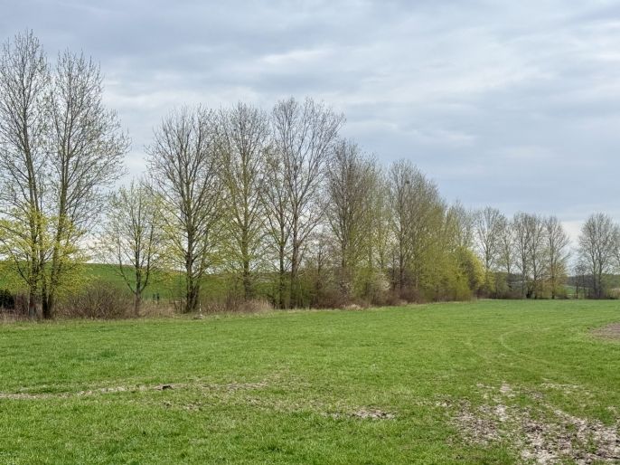 Prodej, Louka, Hradec Králové