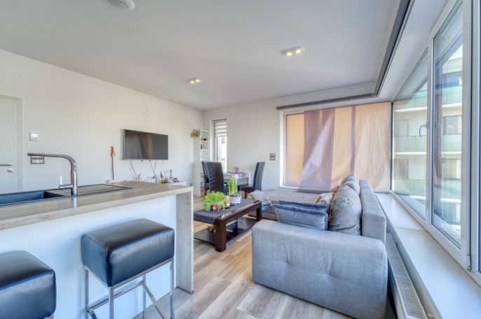 Prodej, Byt 3+kk, Plzeň