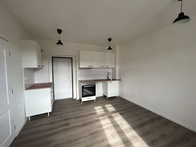 Pronájem, Byt 2+1, Ústí nad Labem