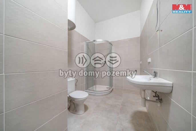 Prodej, Byt 4+kk, Plešnice