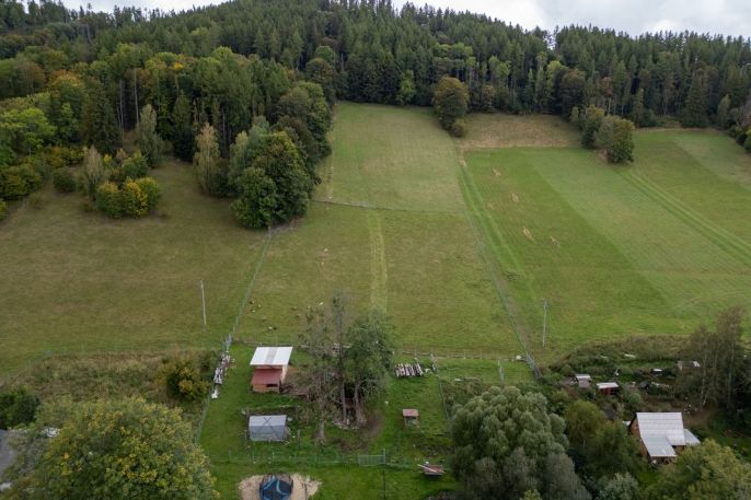 Prodej, Hotel, penzion, Holčovice
