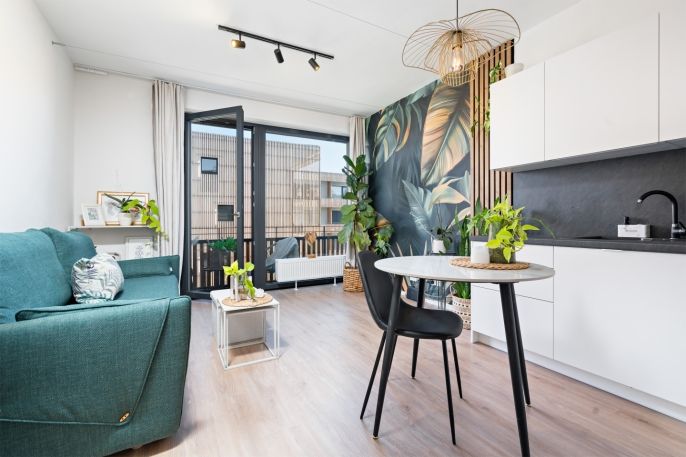 Pronájem, Byt 1+kk, Plzeň