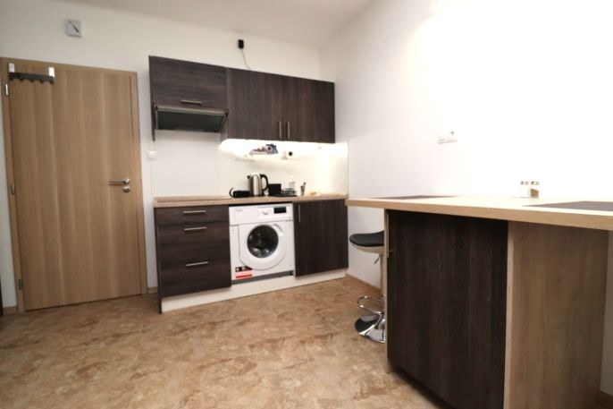 Pronájem, Byt 1+kk, Ostrov