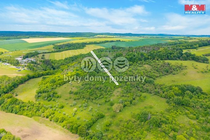 Prodej, Les, Chyňava