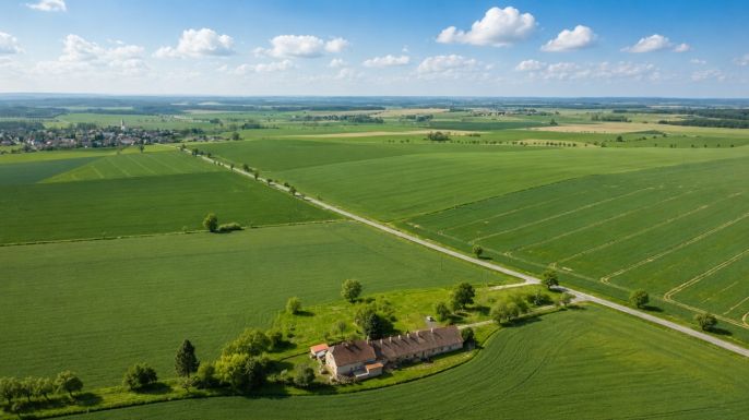 Prodej, Zemědělská usedlost, Stračov