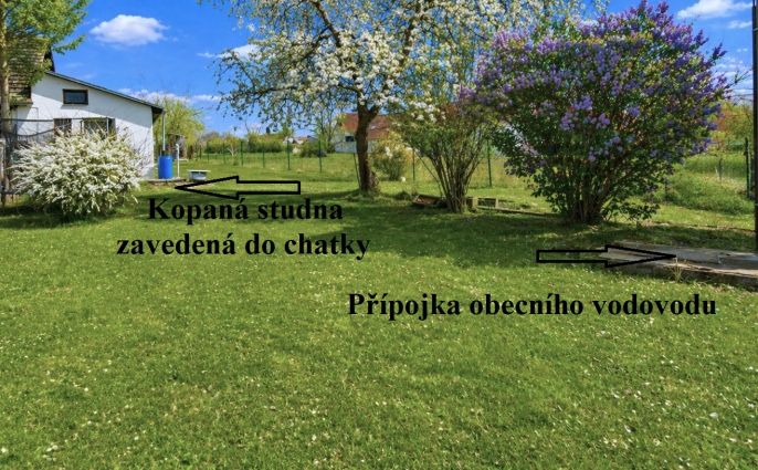 Prodej, Chata, Čížová