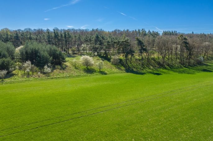 Prodej, Pole, Benátky nad Jizerou