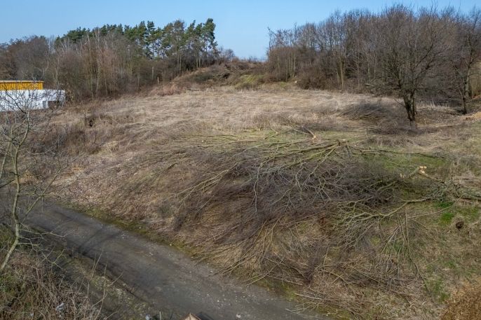 Pronájem, Zahrada, Opava