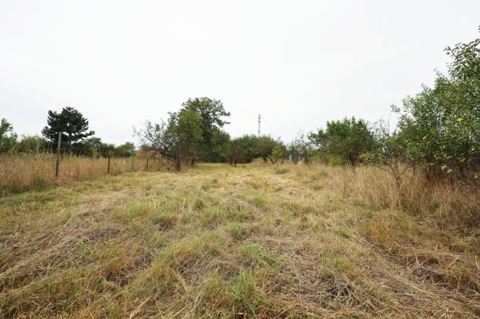 Prodej, Zahrada, Olomouc