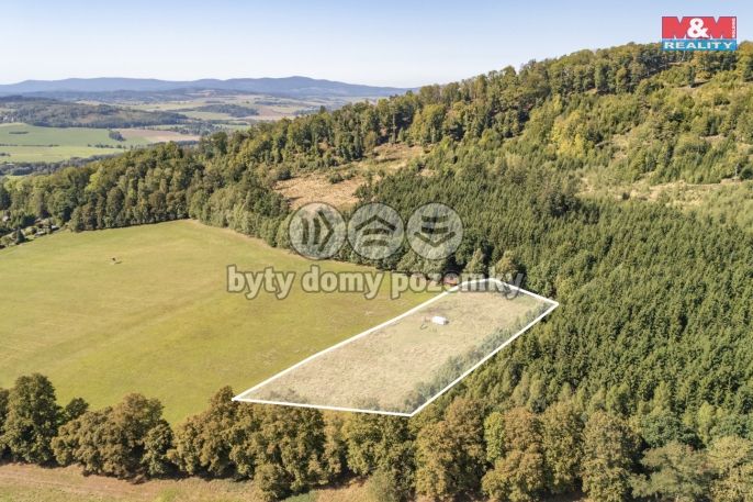 Prodej, Louka, Kdyně