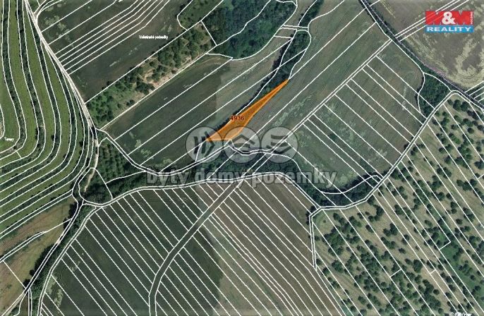 Prodej, Les, Němčany