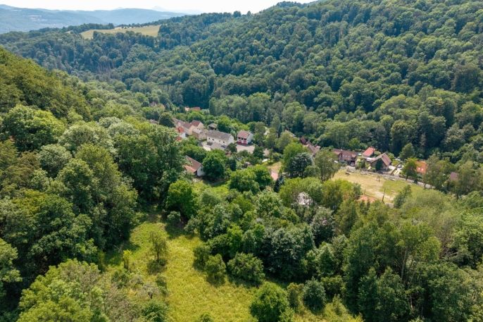 Prodej, Zahrada, Ryjice