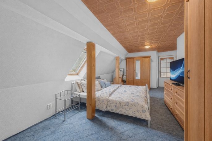 Prodej, Hotel, penzion, Rudník