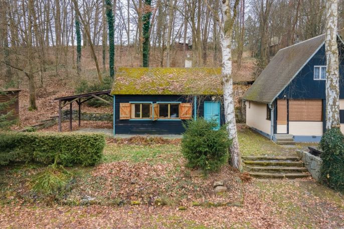 Prodej, Chata, Plešnice