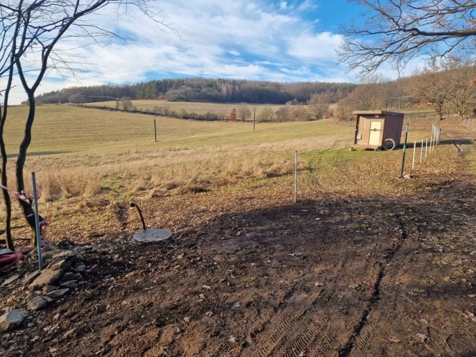 Pronájem, Louka, Petrov