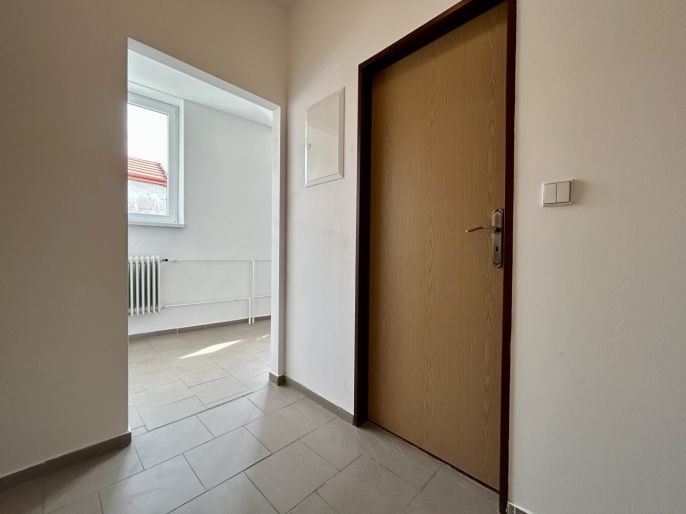 Pronájem, Byt 1+1, Švihov