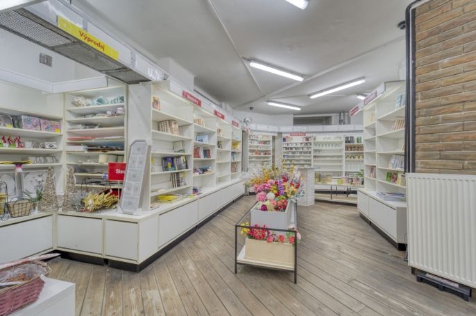 Pronájem, Obchod a služby, Plzeň