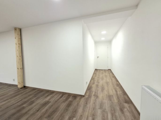 Pronájem, Byt 1+kk, Karlovy Vary