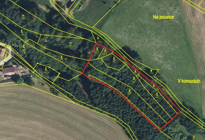 Prodej, Les, Košťálov