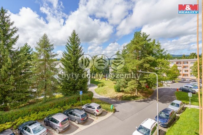 Pronájem, Byt 2+1, Nová Role