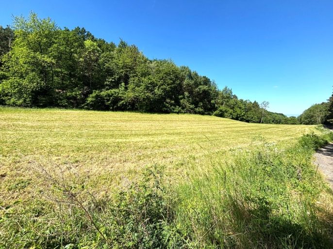 Prodej, Pole, Zbrašín