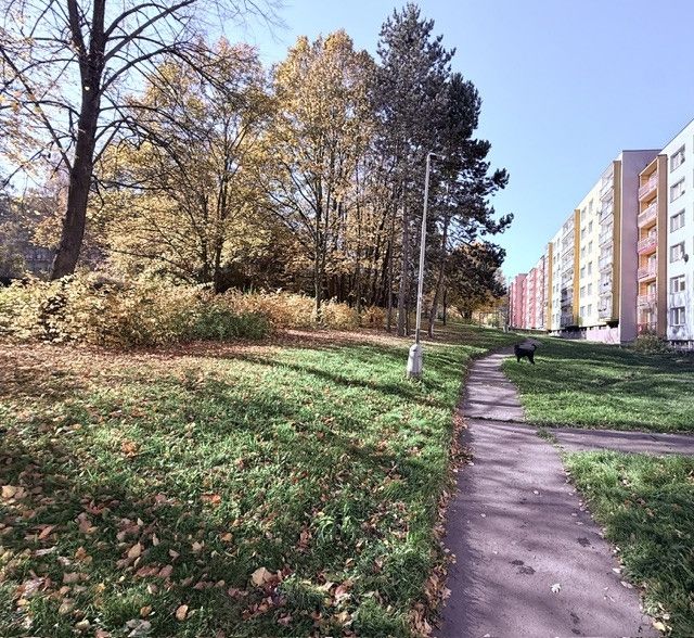 Pronájem, Byt 1+1, Ostrava