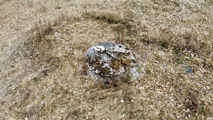 Prodej, Pozemek k bydlení, Počaply