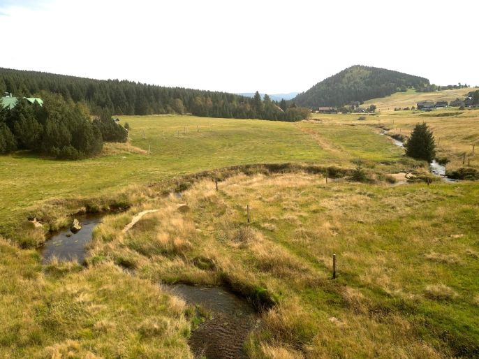 Prodej, Pastvina, Kořenov