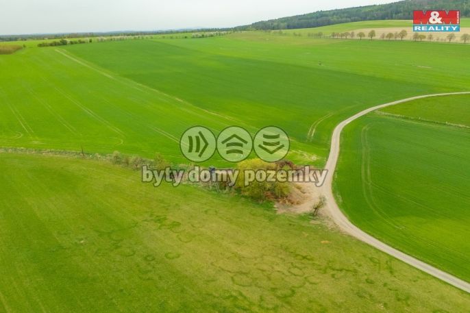 Prodej, Louka, Olešnice