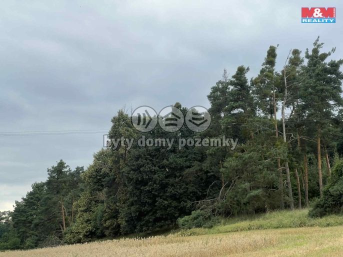 Prodej, Les, Tři Dvory