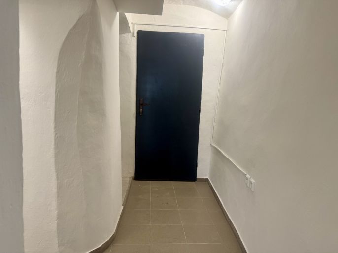 Pronájem, Obchod a služby, Slaný