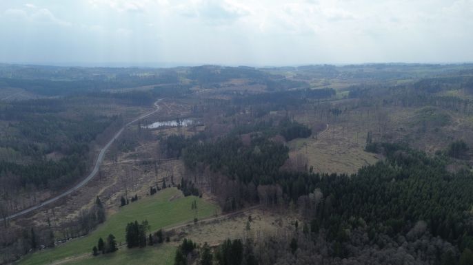 Prodej, Les, Mrákotín