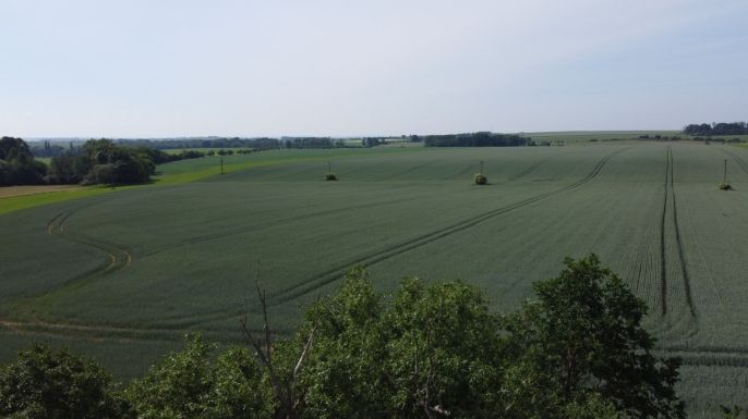 Prodej, Pole, Markvartice
