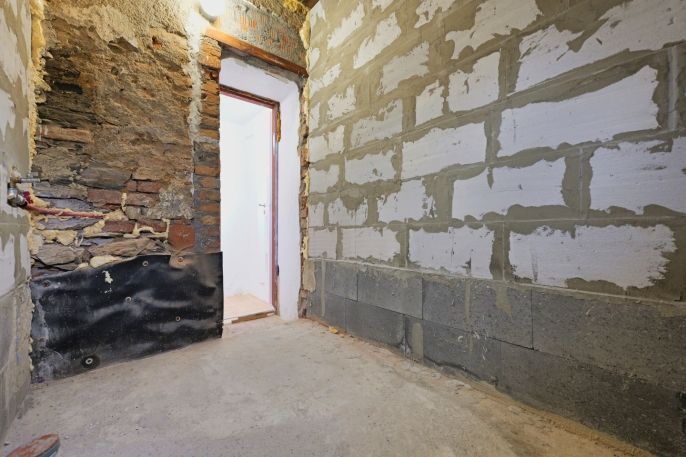 Prodej, Rodinný dům, Ptení